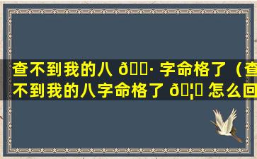 查不到我的八 🕷 字命格了（查不到我的八字命格了 🦆 怎么回事）